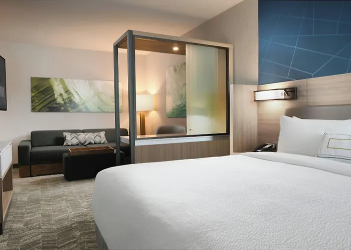 Springhill Suites Dallas Dfw Airport South/Centreport